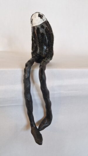 Shadow creature